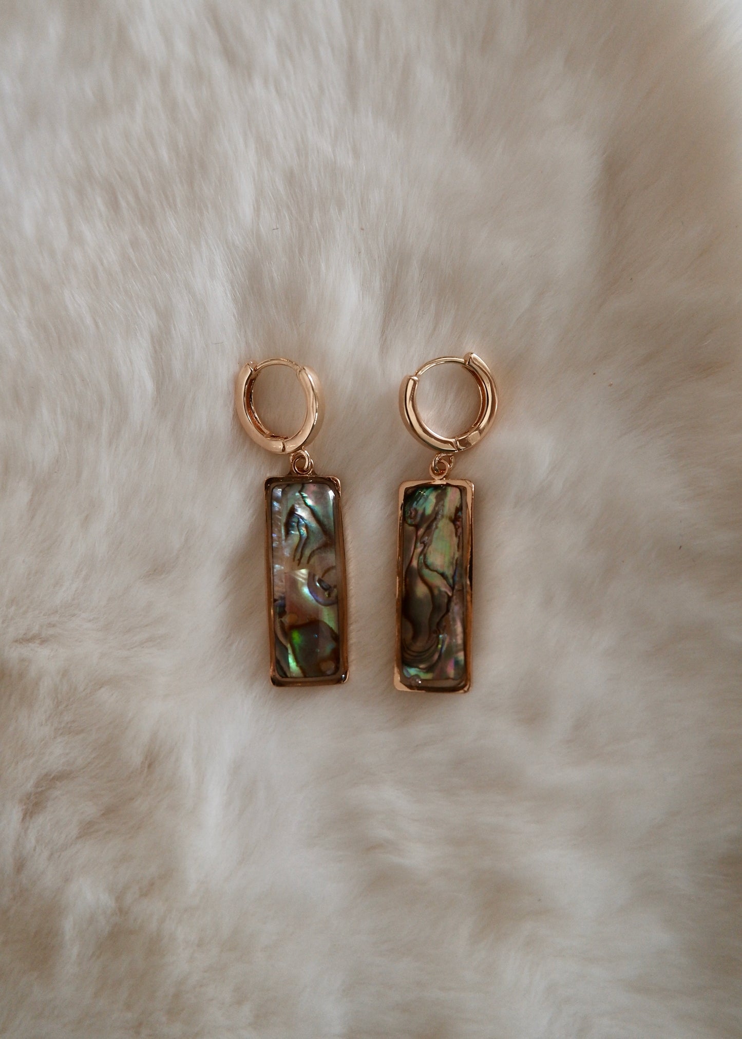 Abalone Charms