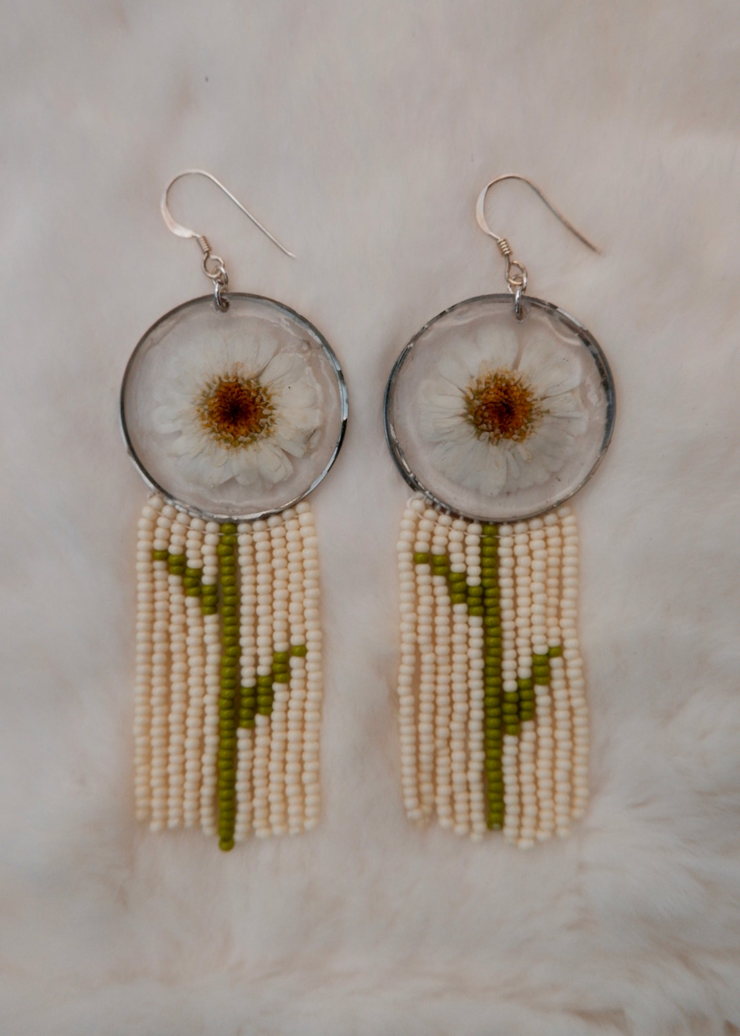 Feverfew1