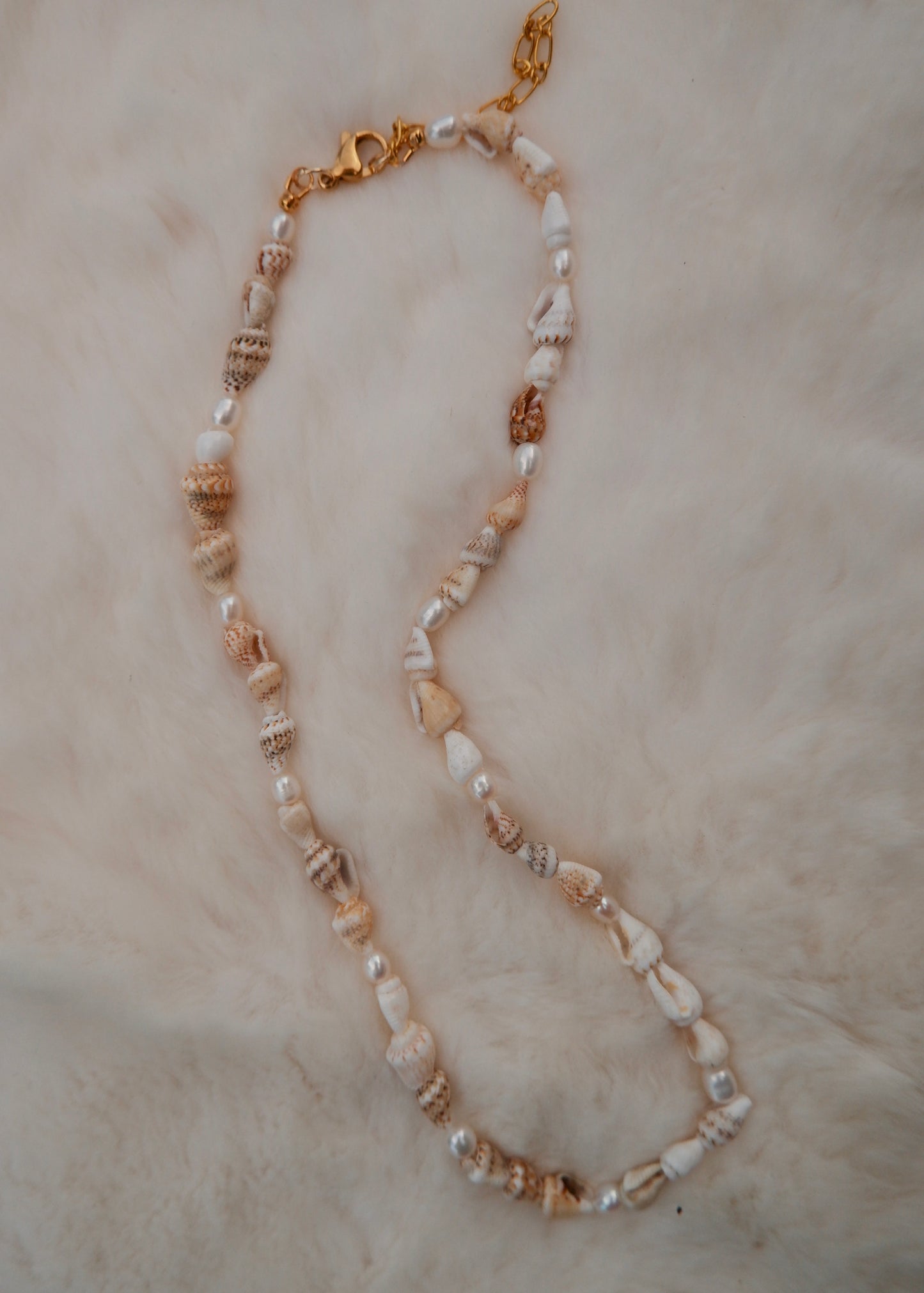 Seashell Necklace