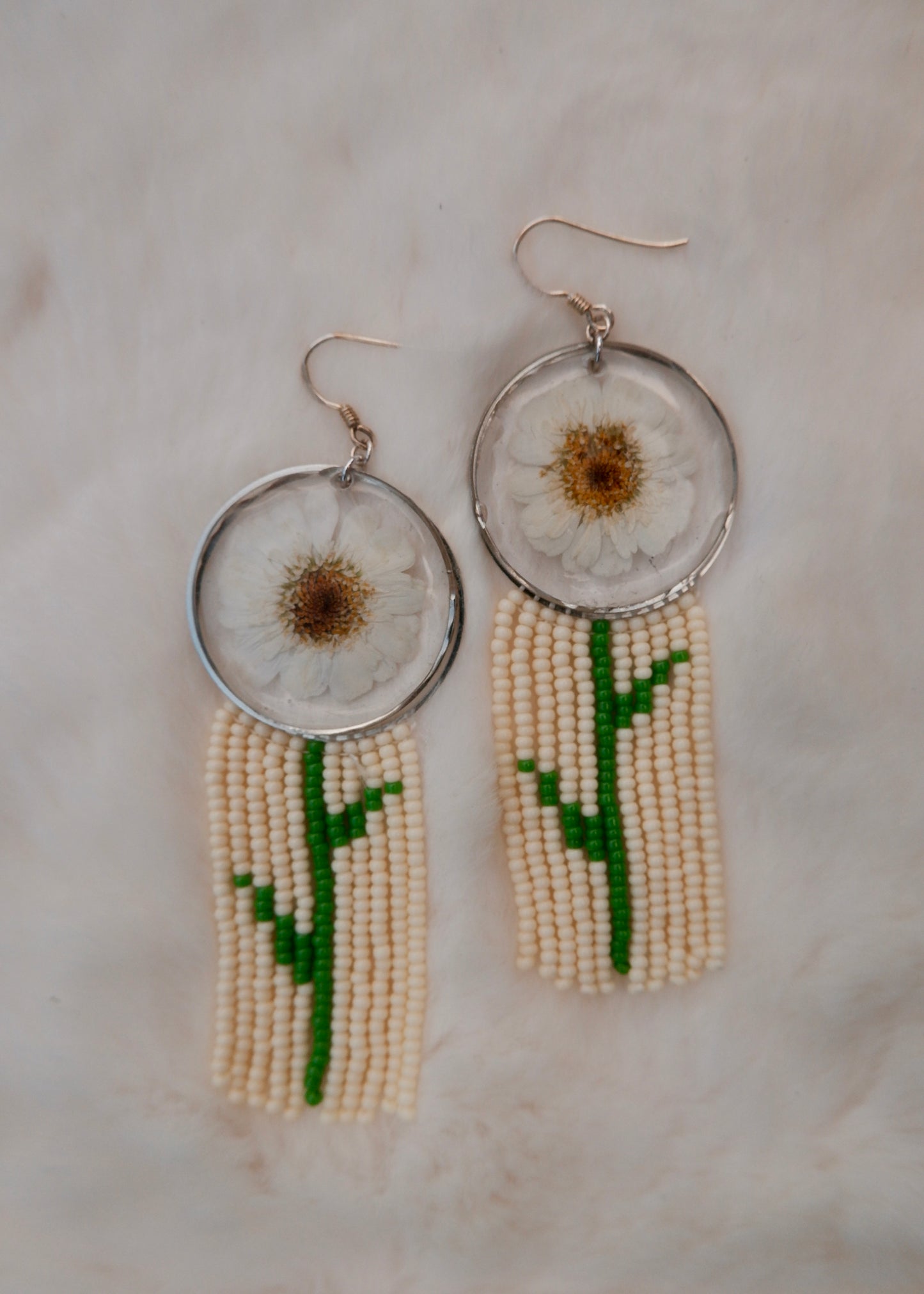 Feverfew2