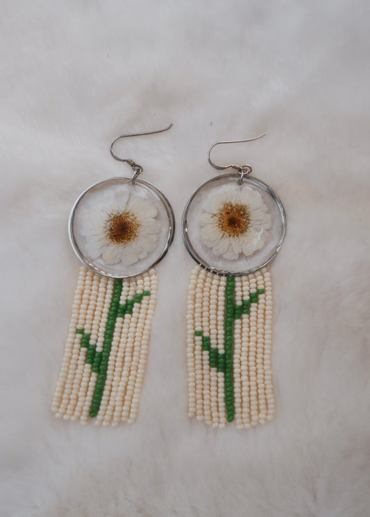 Feverfew Fringe
