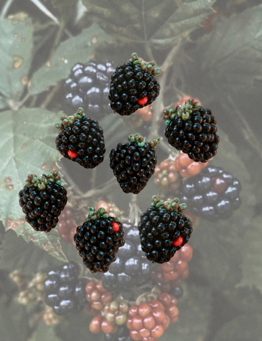 Blackberries
