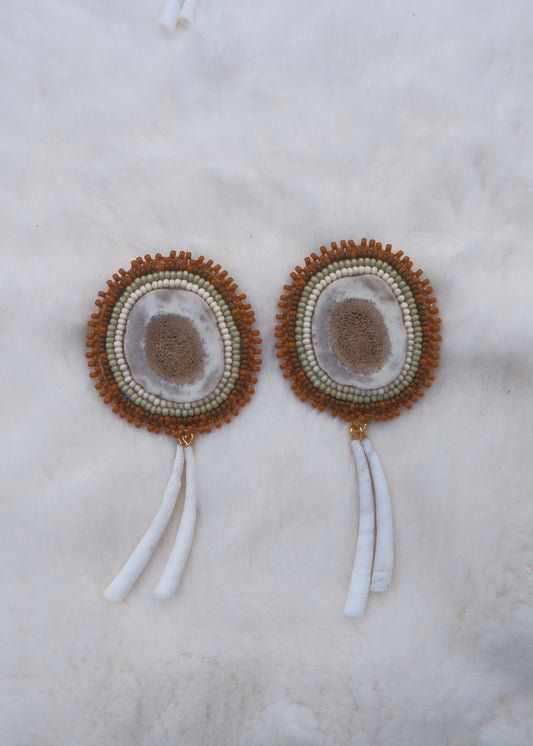 Antler & Dentalium Studs 02
